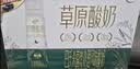 伊利草原酸奶巴氏杀菌原味酸奶230g*10瓶/箱  礼盒装 实拍图