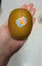 佳沛（zespri）新西兰金奇异果22粒巨大原箱146-175g猕猴桃水果礼盒 实拍图