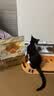 好主人猫条猫咪零食 喵舔酱火腿肠猫罐头白肉汤罐成猫幼猫通用营养开胃 10g*10条喵舔酱 实拍图