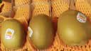 佳沛（zespri）金奇异果25-27粒原箱特大果124-146g猕猴桃中秋节礼品送水果礼盒 实拍图