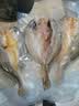 鲜京采醇香黄鱼鲞6条/1.2kg(单条190-210g)三去处理【京东自有品牌】 实拍图