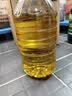 福临门食用油葵花籽清香型食用植物调和油5升*4 整箱 新老包装随机 实拍图