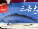 1号会员店（One's Member）冷冻宁德三去黄花鱼 大黄鱼700g/2条装 生鲜水产鱼类 中秋 实拍图