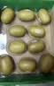 佳沛（zespri）新西兰金奇异果15粒巨大果146-175g猕猴桃水果礼盒 实拍图