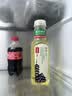 农夫山泉东方树叶陈皮白茶500ml*15瓶无糖茶饮料0糖0脂0卡整箱 实拍图