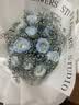 鲜花同城配送满天星碎冰蓝玫瑰真花花束小时达送女友生日礼物 【臻爱】11朵碎冰蓝玫瑰 同城今日达-可预约日期时间 实拍图