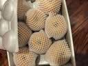 京觅山东烟台莱阳头茬秋月梨 8粒贡品国庆礼盒 单果600g+源头直发包邮 实拍图