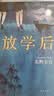放学后 东野圭吾成名作 嫌疑人X的献身 白夜行  江户川乱步奖 实拍图