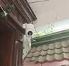 小米智能室外摄像机4C 3K 家用监控器摄像头360度无死角带夜视500万像素全彩夜视农村户外庭院 实拍图