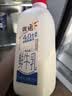 优诺（yoplait）4.0+优质乳蛋白鲜牛奶巴氏杀菌鲜奶1.35L/桶 营养早餐 低温牛乳 实拍图