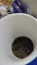 绿伞茶垢清洁剂去茶渍果汁渍茶壶杯具去茶垢咖啡机清洗剂500g 实拍图