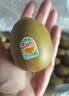 佳沛（zespri）新西兰金奇异果15粒巨大果146-175g猕猴桃水果礼盒 实拍图