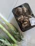 带根鲜香菇约300g 实拍图