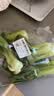 上海青约500g(油菜) 实拍图