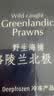 京觅 海外直采  北极甜虾仁150gMSC 京东自营 聚餐 实拍图