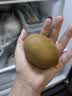 佳沛（zespri）新西兰 金奇异果特大果15粒134-146g猕猴桃水果礼盒 实拍图