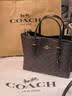 蔻驰（COACH）【品牌直供】女士MOLLIE25中号斜挎托特包深棕色CV965礼物次日达 实拍图