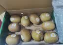 佳沛（zespri）新西兰金奇异果10个装单果重103-114g猕猴桃水果礼盒 实拍图