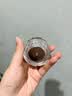 珀莱雅红宝石面霜轻润款4.0 50g 抗皱淡化细纹乳液面霜保湿生日礼物 实拍图