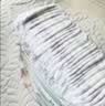 好奇（Huggies）好奇小森林纸尿裤S28片(4-8kg)尿不湿心钻【纯净0添加】 实拍图