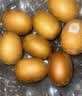 佳沛（zespri）新西兰金奇异果10粒巨大果146-175g猕猴桃水果礼盒 实拍图