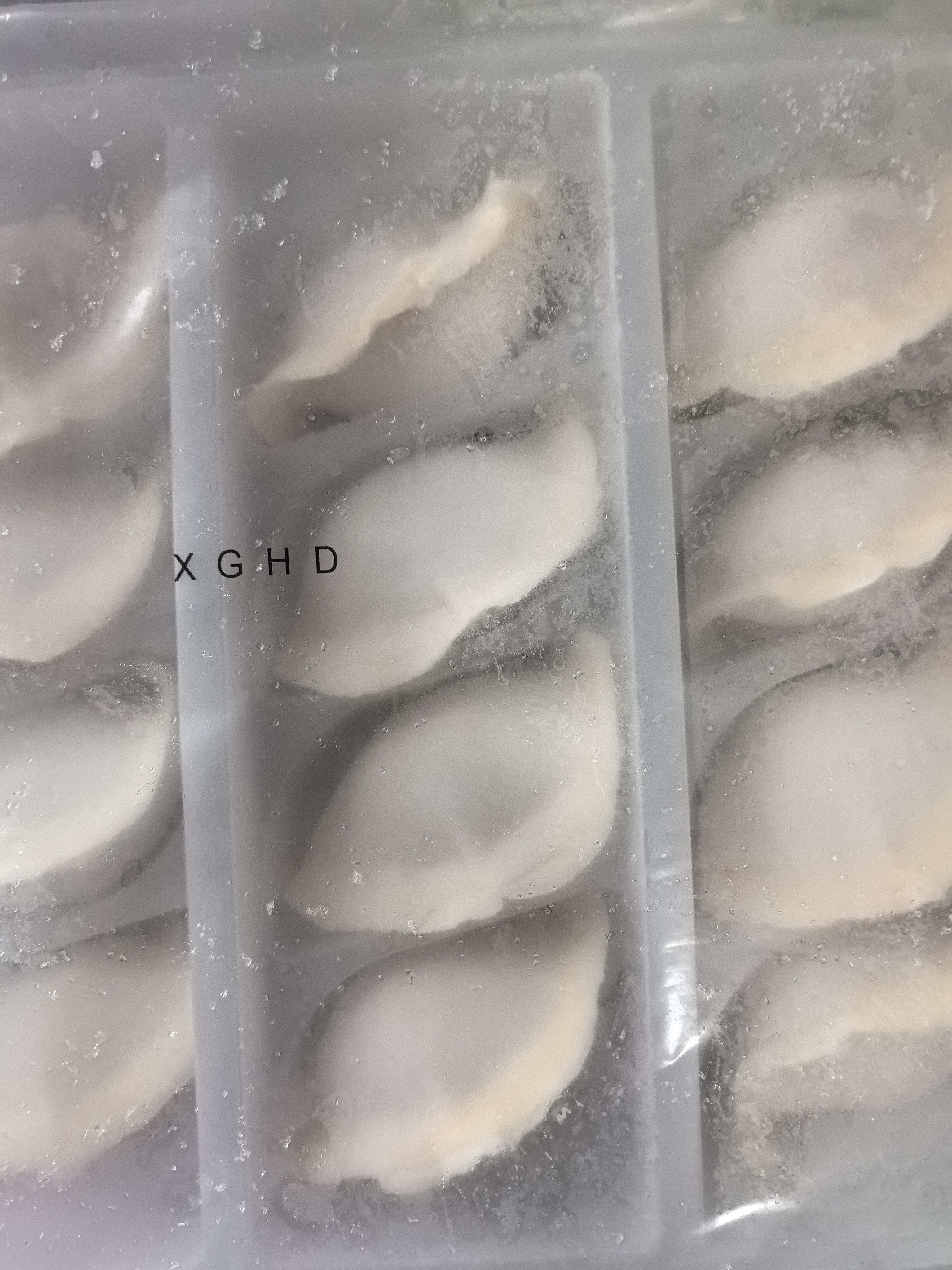 饺小歌海胆水饺240g/12只 生鲜健康早餐速食面点生鲜速冻饺子 实拍图