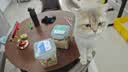 WEYES冻干双拼鸡肉鸡肝粒500g桶装宠物猫狗零食冻干鸡胸肉营养适口性好 实拍图
