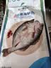 仙泉湖三去白蕉海鲈鱼1斤/条净膛刺少肉厚珠海特产500g海鲜水产生鲜食材 实拍图