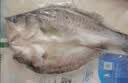 仙泉湖三去白蕉海鲈鱼1斤/条净膛刺少肉厚珠海特产500g海鲜水产生鲜食材 实拍图