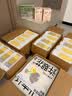 诚实一口P40全价猫粮成猫幼猫室内外80%鲜肉高蛋白长肉美毛鸡鱼味1.5kg 实拍图
