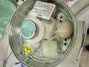 美的（Midea）电煮锅 电蒸锅 分体式小电锅 0涂层不锈钢电煮锅  2-3人家用蒸煮一体多功能锅 2.6L配蒸笼 XZC2071 实拍图