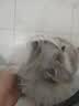 宜家依隔音耳塞睡眠超强级防噪音呼噜降噪睡觉静音不伤耳专业款10枚 实拍图