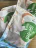 硒全食美无抗富硒乳鸽 净重900g(300g*3只) 冷冻烧烤食材生鲜鸽子鸽子肉 实拍图