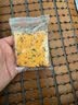 盼盼 黑金锅巴肉松蟹黄味 休闲零食办公室下午茶膨化点心 240g/盒 实拍图