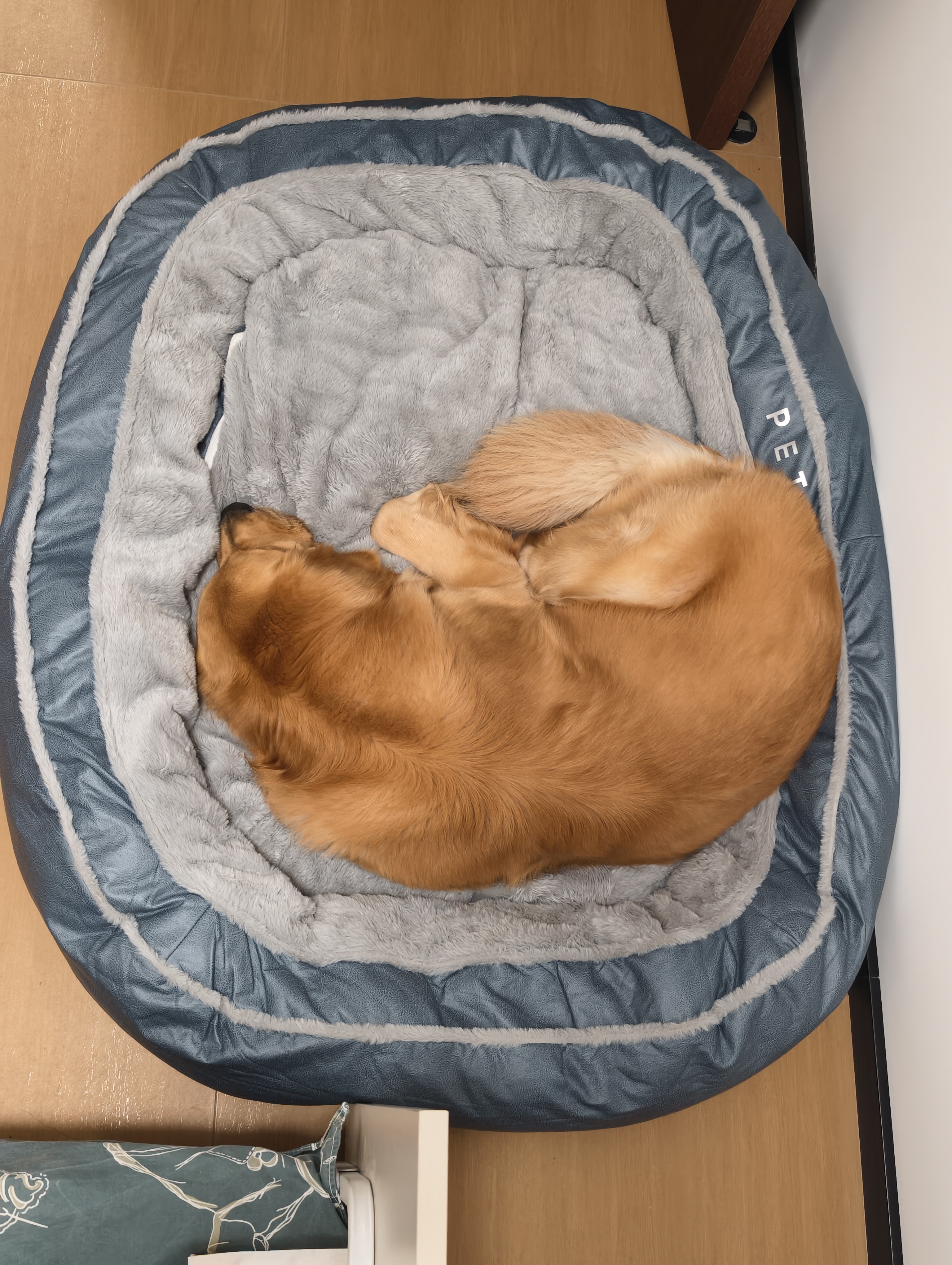 华元宠具（hoopet）狗窝保暖可拆洗中大型犬冬季狗床拉布拉多狗睡垫子宠物垫人类狗窝 实拍图