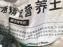 金雅特营养土壤通用型泥炭土种植花土椰糠土种菜有机肥料花卉盆栽50L 实拍图