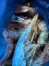 禧美海产加拿大北极甜虾净重3斤/盒 90/120规格 熟冻  MSC认证 聚餐 实拍图