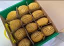 佳沛（zespri）绿奇异果 优选大果12粒单果约115-135g  水果 猕猴桃 实拍图
