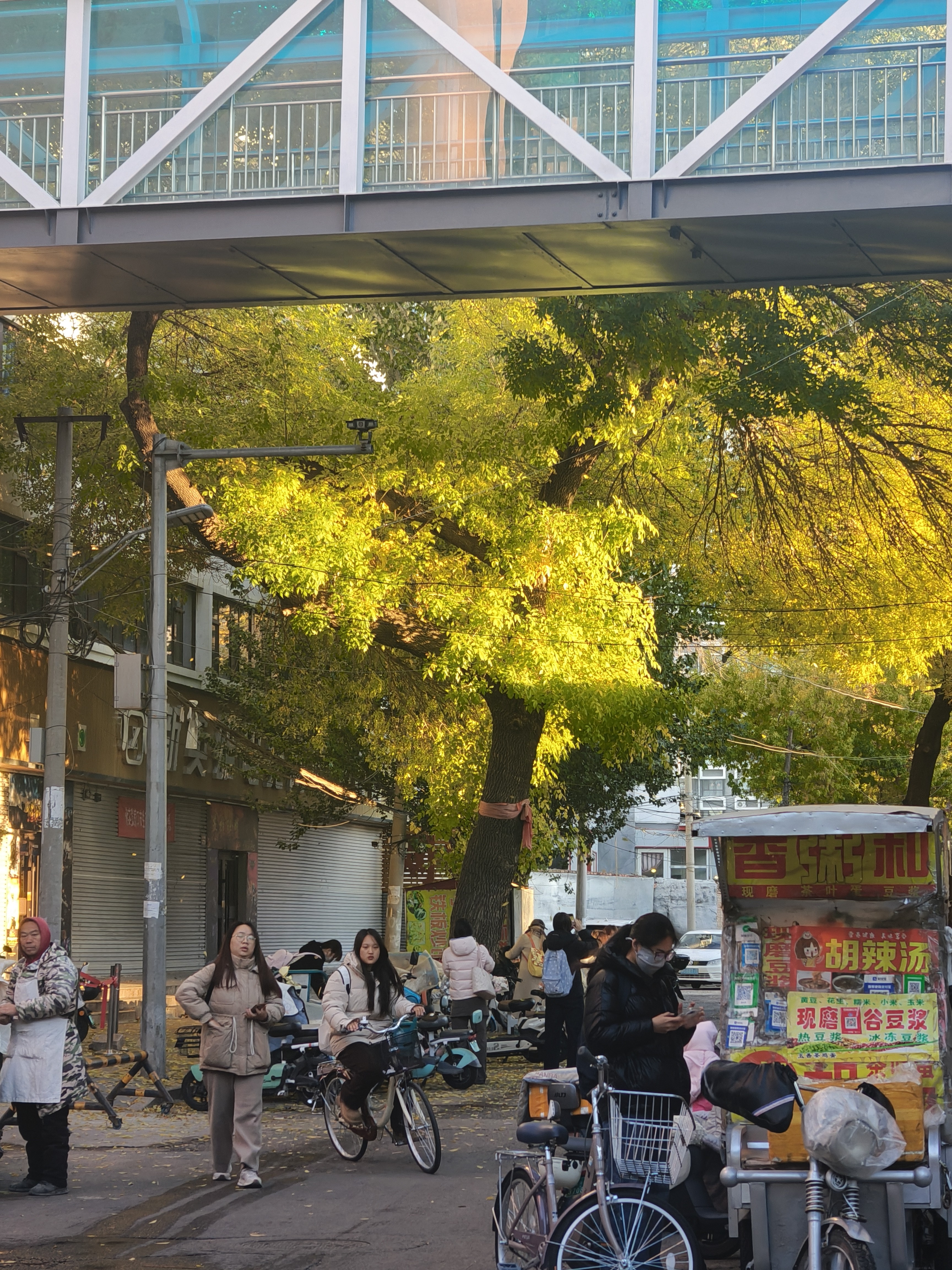 金立（Gionee）老年机 超长待机 老年手机大字体大声音 便携学生手机 老人手机 4G全网通老年人专用手机 G510 实拍图