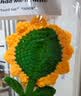 京东鲜花巨型向日葵花束编织永生花幼儿园生日礼物女士送女友老师儿童小众 实拍图