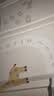 丸丫宝宝爬行垫婴儿加厚家用爬爬垫XPE折叠垫1.8*2.0米2.5CM-派对 实拍图