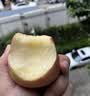 佳农烟台红富士苹果 净重10斤 一级果 单果重160g+  生鲜水果源头直发 实拍图