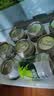一枝笔 莱阳梨汁245ml*10罐装 正宗山东莱阳梨汁清润便捷装饮料饮品解腻 实拍图