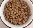 LEGENDSANDY蓝氏狗粮真鲜乳鸽中小型犬泰迪比熊生骨肉冻干鲜肉犬粮1.5kg*6包 实拍图