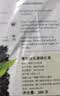 Serendiva红茶斯里兰卡原瓶原装进口康提红茶特级200g正规通关罐装茶叶 实拍图