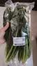 大菠菜300g 实拍图