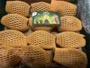 佳沛（zespri）新西兰金奇异果12粒特大果124-146g猕猴桃水果礼盒 实拍图
