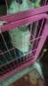 沃趣 猫砂2.0升级版低尘猫砂膨润土清香型猫砂强效除臭20斤易储存 实拍图