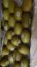 佳沛（zespri）新西兰金奇异果12粒特大果124-146g猕猴桃水果礼盒 实拍图