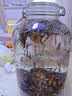 卓誉【秘藏高粱酒】52度清香型白酒桶装5L散装纯粮食酒自饮泡酒 实拍图